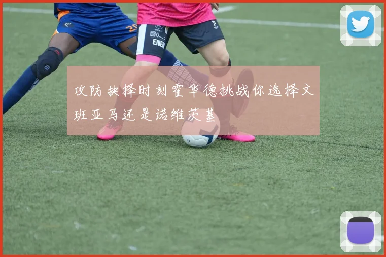攻防抉择时刻霍华德挑战你选择文班亚马还是诺维茨基