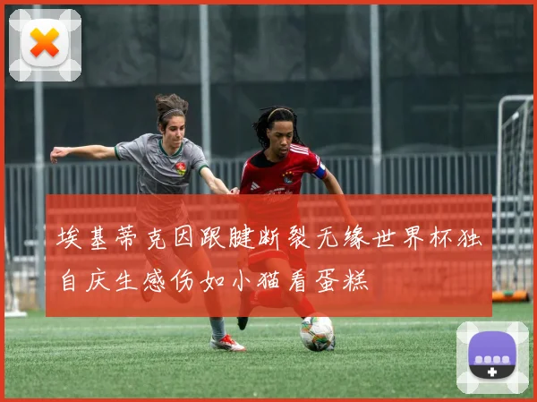 埃基蒂克因跟腱断裂无缘世界杯独自庆生感伤如小猫看蛋糕